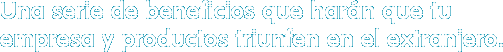 Una serie de beneficios que har&aacute;n que tu empresa y productos triunfen en el extranjero.